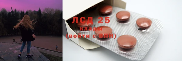 прущие крисы Горняк