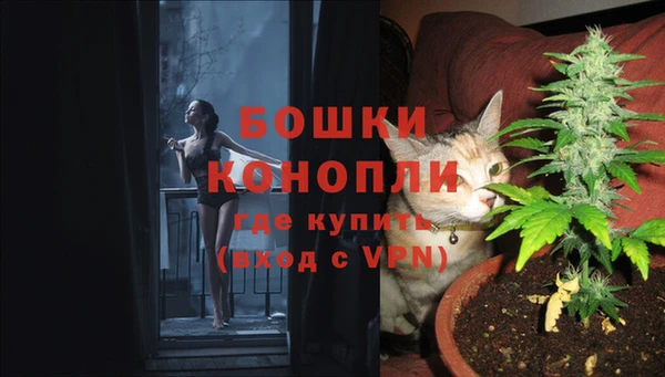 круглые Вязьма