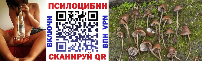 Псилоцибиновые грибы Psilocybine cubensis  Купить  Торопец 